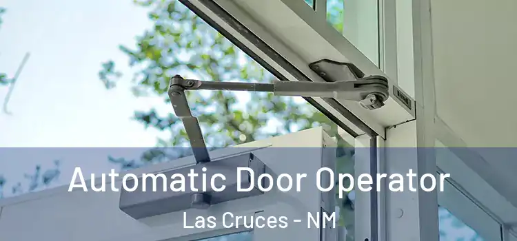 Automatic Door Operator Las Cruces - NM