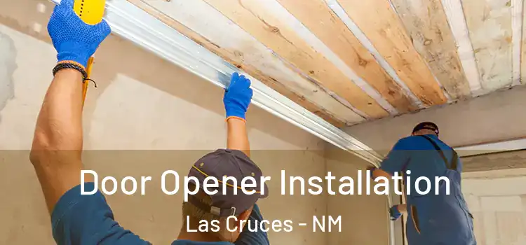 Door Opener Installation Las Cruces - NM