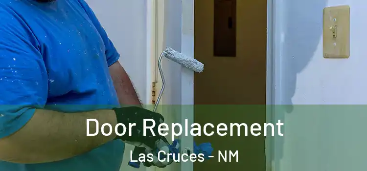  Door Replacement Las Cruces - NM