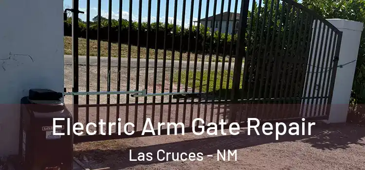  Electric Arm Gate Repair Las Cruces - NM