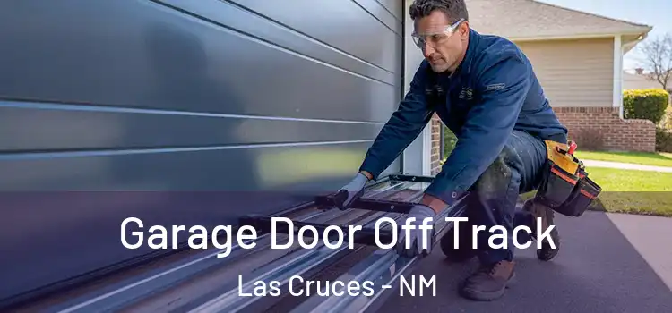  Garage Door Off Track Las Cruces - NM
