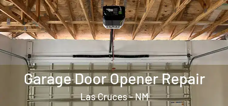  Garage Door Opener Repair Las Cruces - NM