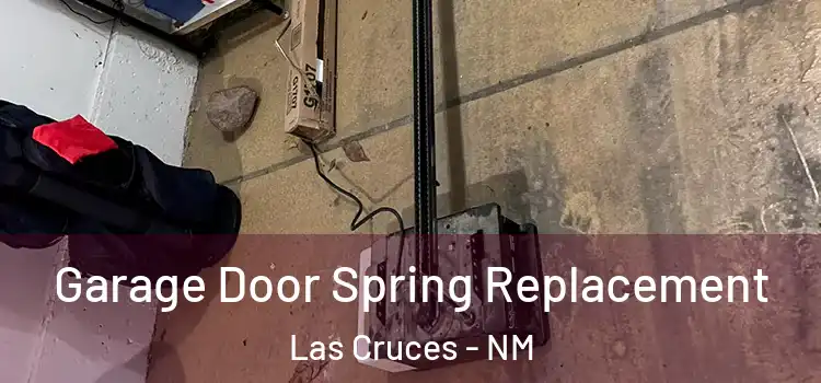  Garage Door Spring Replacement Las Cruces - NM