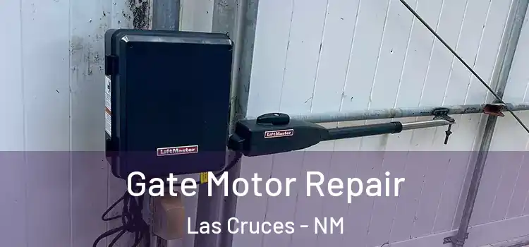  Gate Motor Repair Las Cruces - NM