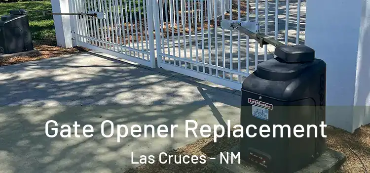  Gate Opener Replacement Las Cruces - NM