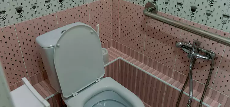 Meeting Diverse Needs With Accessible Restroom Solutions in Las Cruces, NM