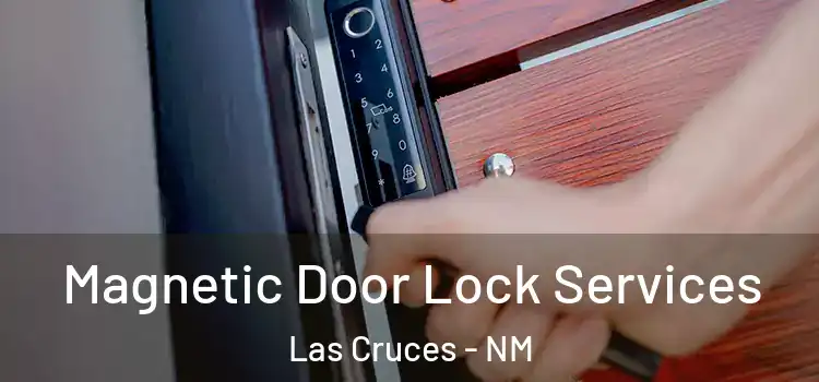 Magnetic Door Lock Services Las Cruces - NM
