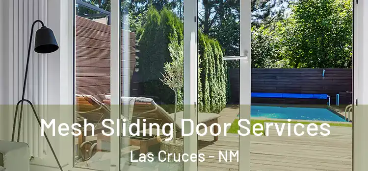 Mesh Sliding Door Services Las Cruces - NM