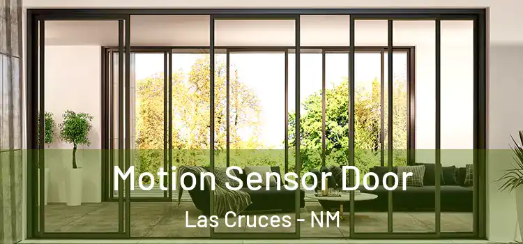  Motion Sensor Door Las Cruces - NM