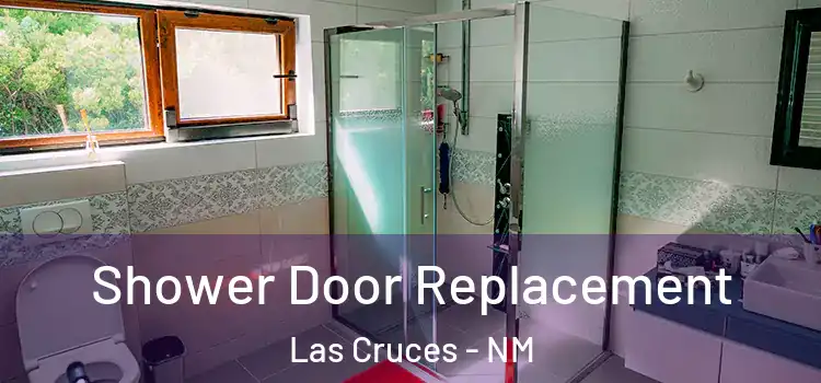 Shower Door Replacement Las Cruces - NM