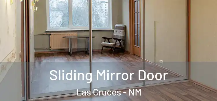  Sliding Mirror Door Las Cruces - NM
