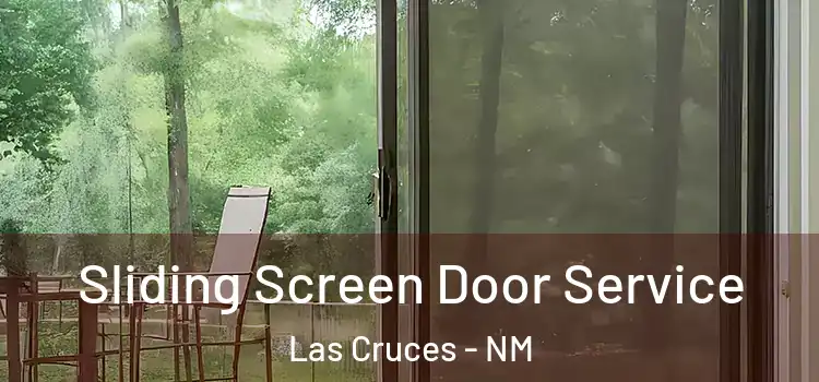  Sliding Screen Door Service Las Cruces - NM